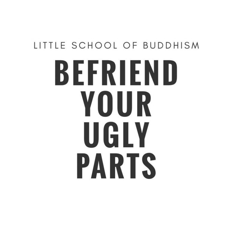 LSOB - Befriend Your Ugly Parts - meditation