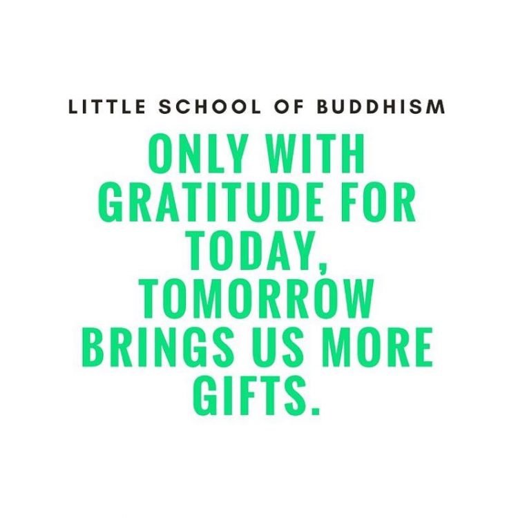 LSOB - Only With Gratitude For Today, Tomorrow Brings Us More Gifts