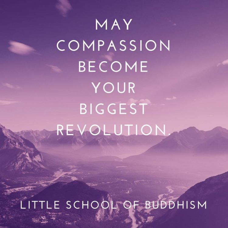May Compassion Become Your Biggest Revolution
